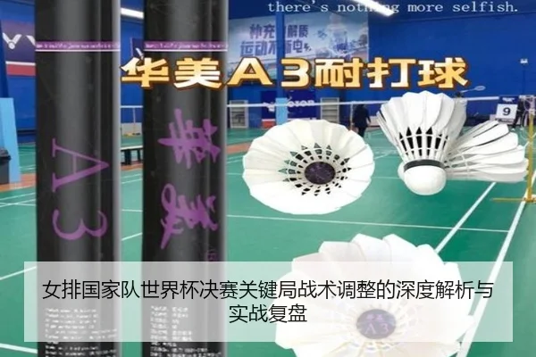 女排国家队世界杯决赛关键局战术调整的深度解析与实战复盘（Kaifa）